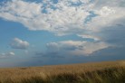Feld mit Gewitterwolken